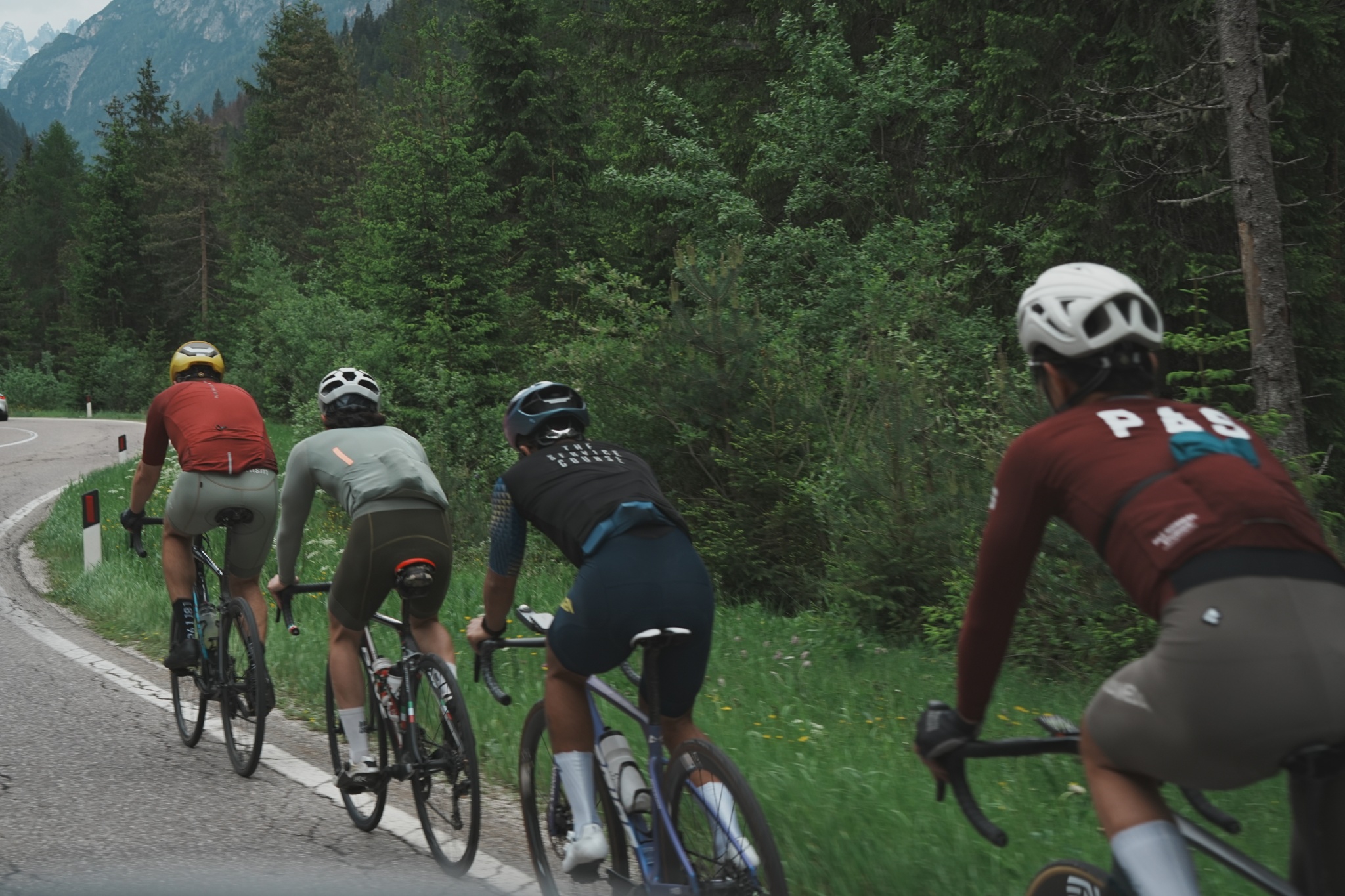 A group of road cyclists climbing together through the forest