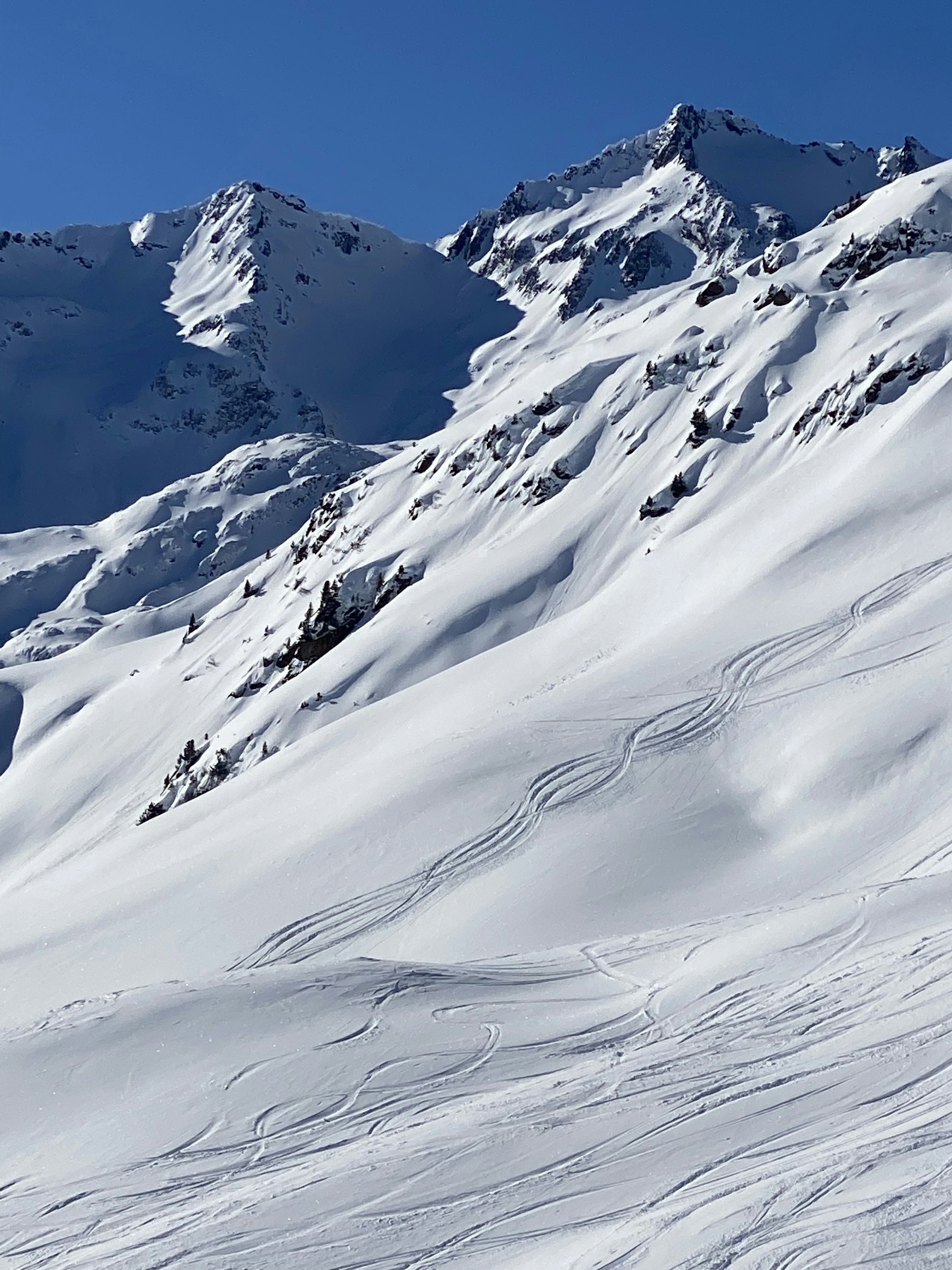 Skier moving through deep alpine powder