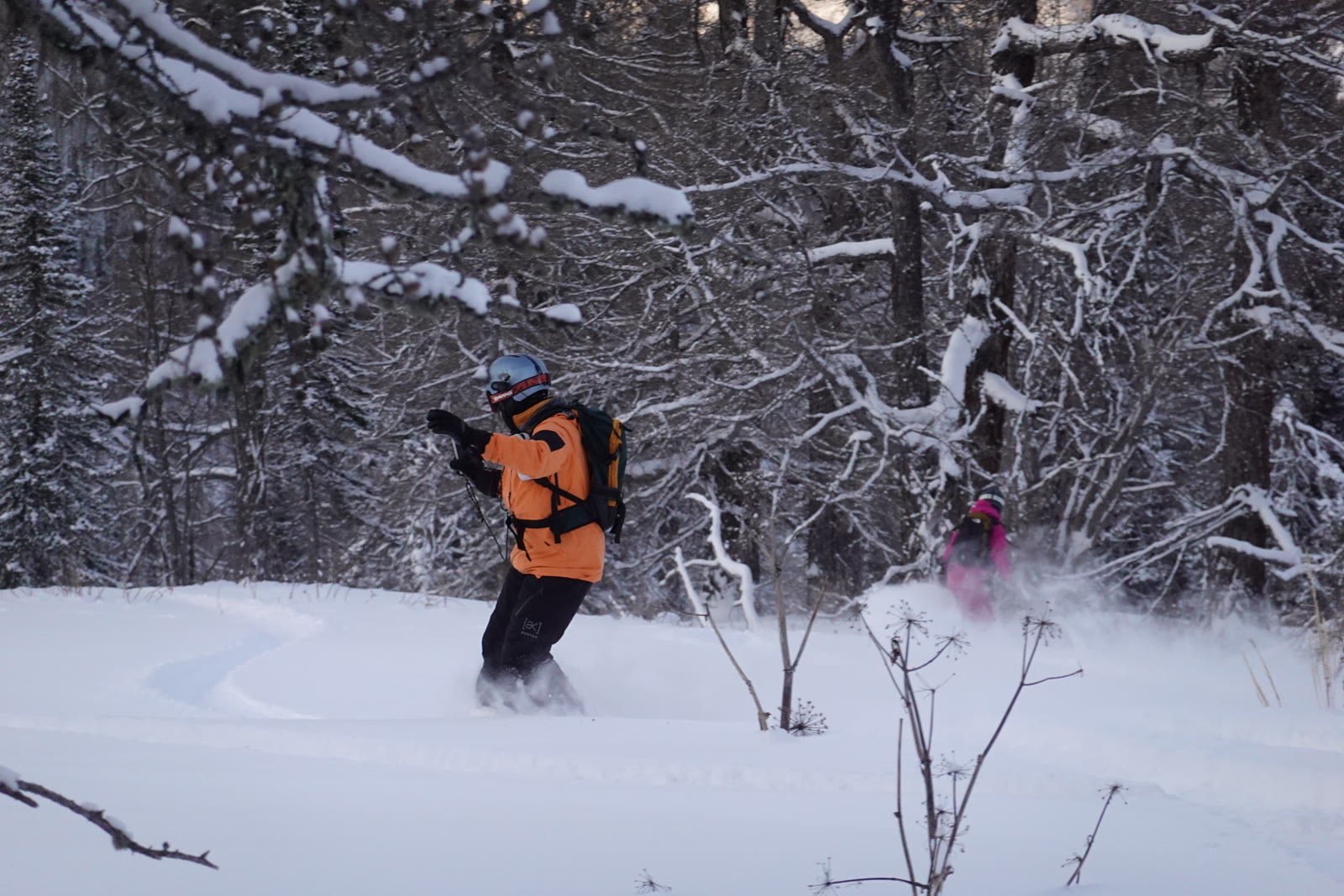A snowboarder riding through fresh powder in the forest.