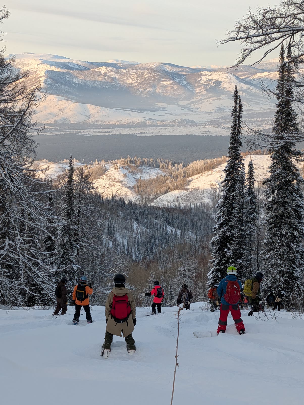 Ski group descending through forest with the Altai Mountains beyond