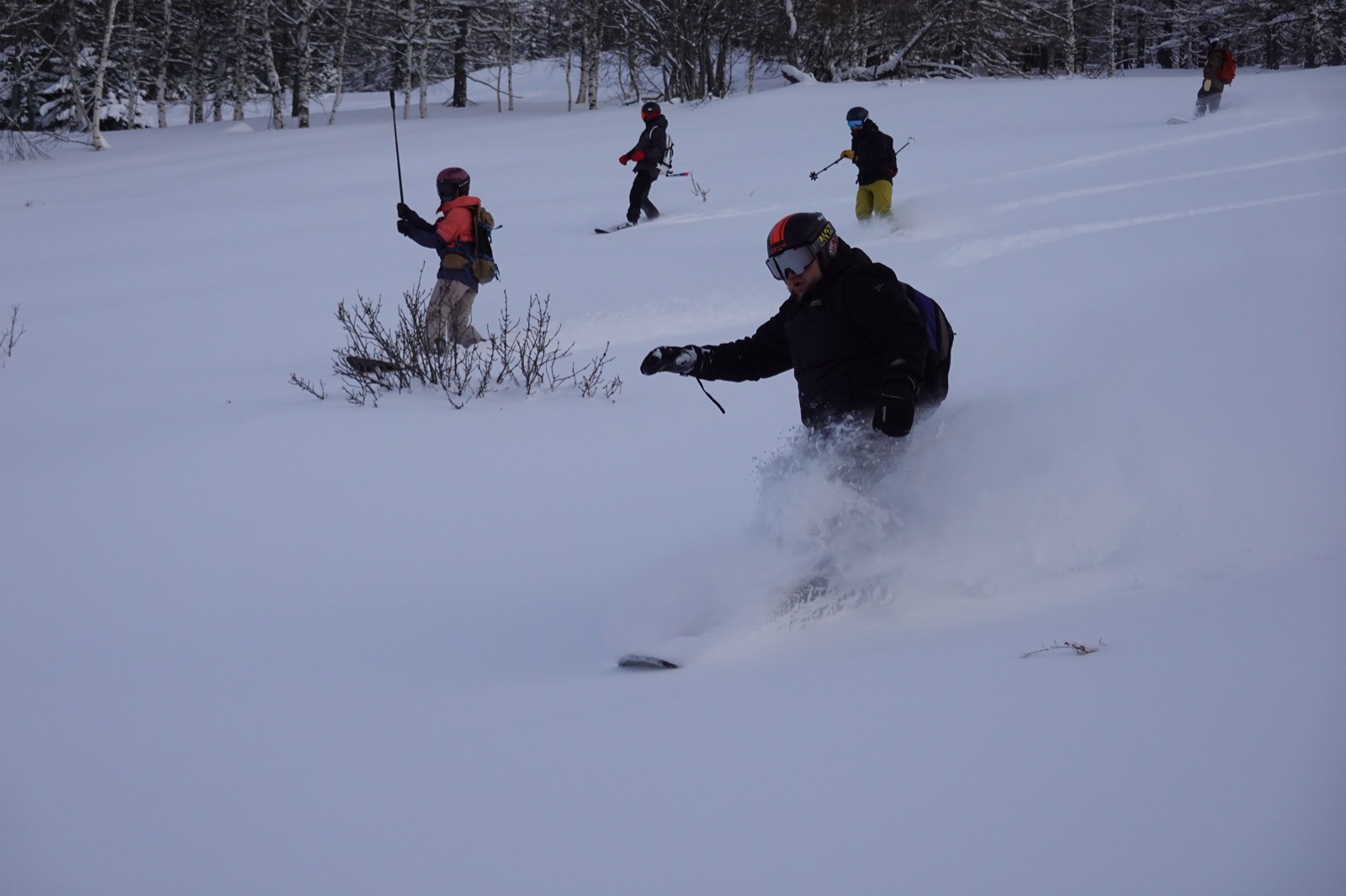 Skiers enjoying powder turns together in the open woodland.