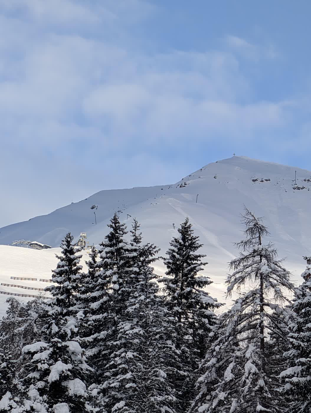 Snowy trees below the Serfaus-Fiss-Ladis peaks